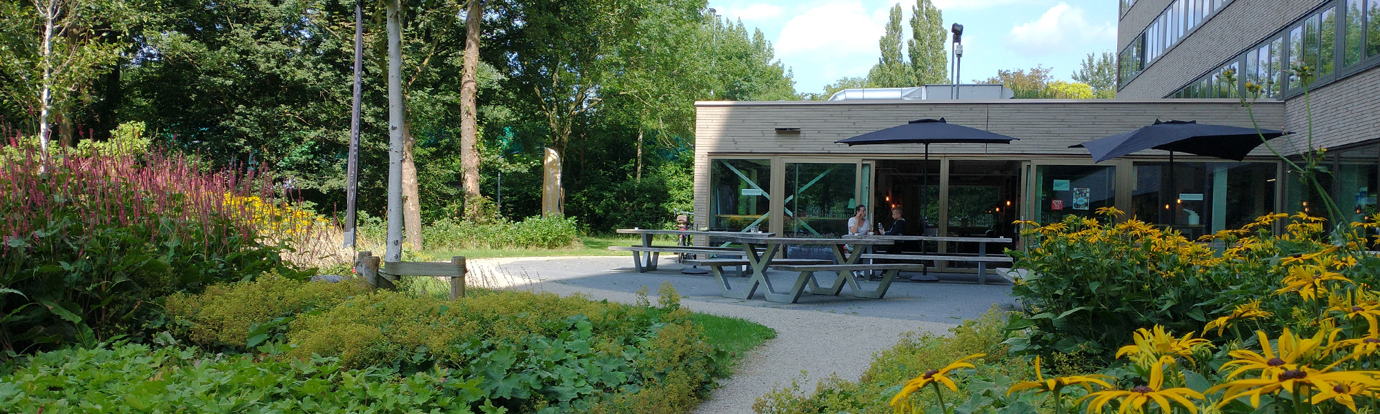 Het terras naast Park Selwerd